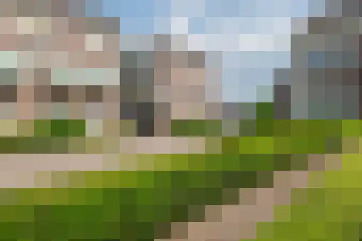 Rooijsestraat 46 04 Dreumel thumbnail 4