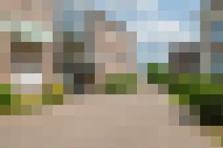 Rooijsestraat 46 04 Dreumel thumbnail 5