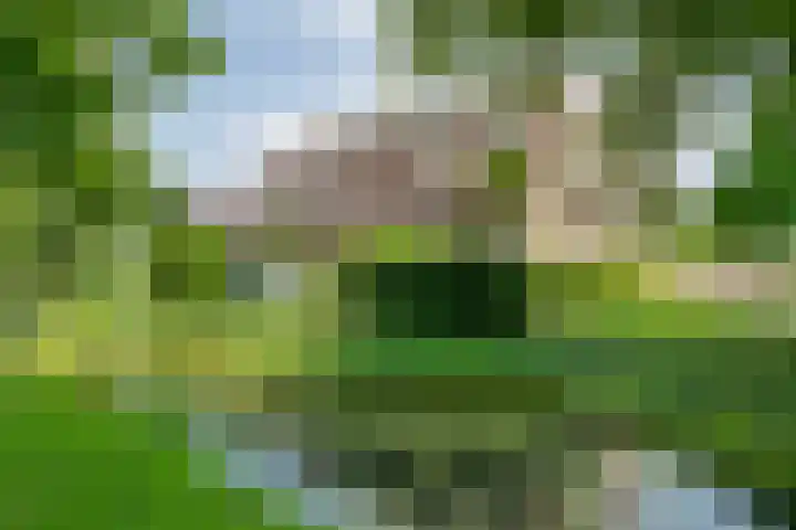 Rooijsestraat 46 04 Dreumel thumbnail 6