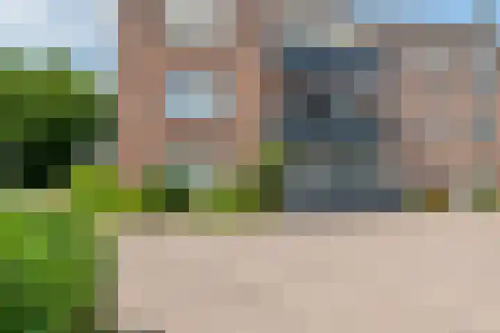 Rooijsestraat 46 04 Dreumel thumbnail 9