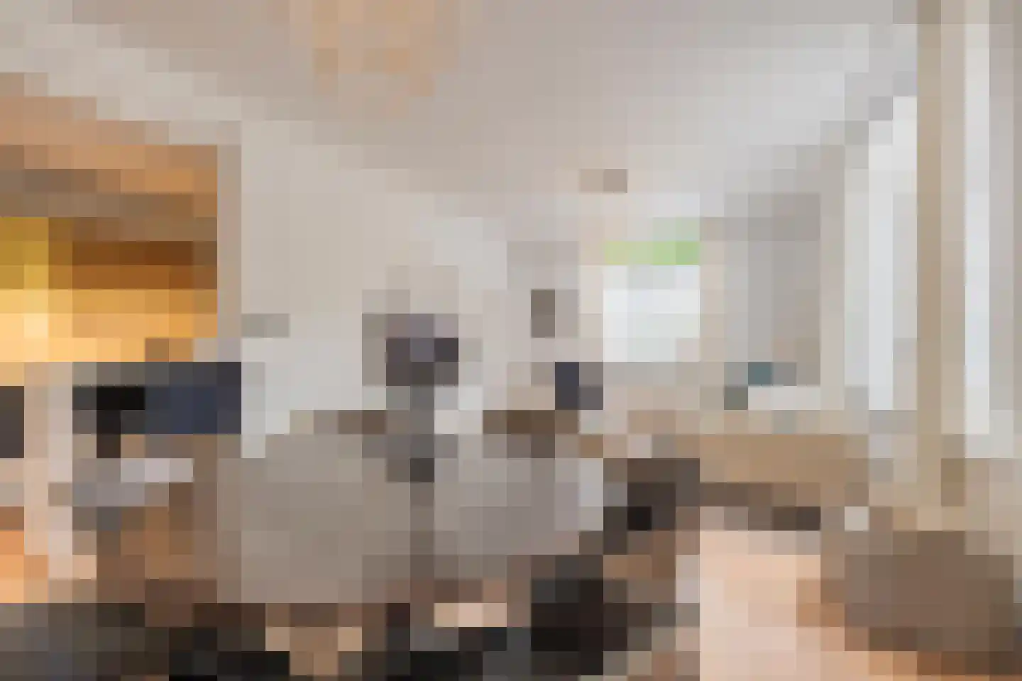 Rooijsestraat 59 Dreumel thumbnail 12