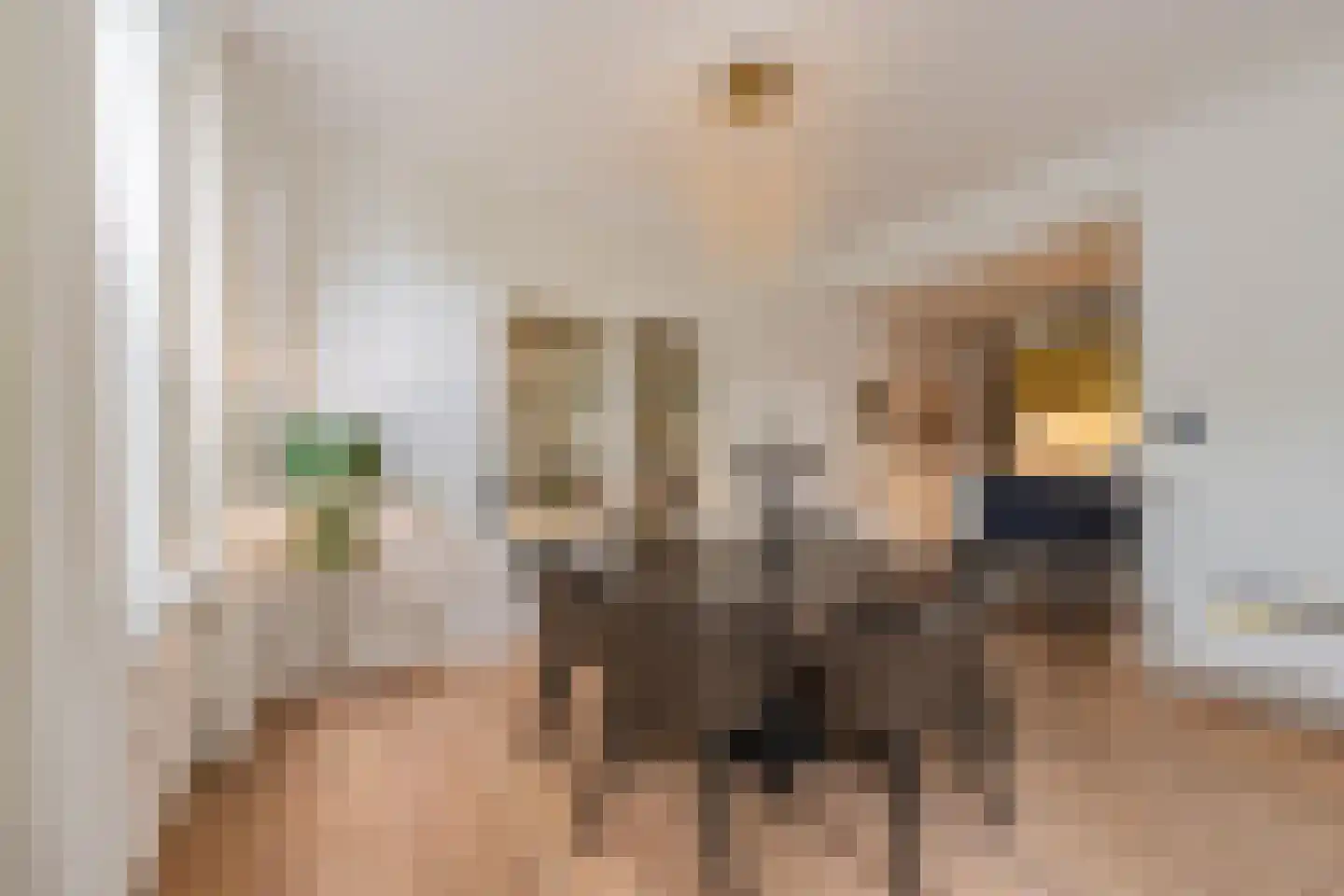 Rooijsestraat 59 Dreumel thumbnail 18