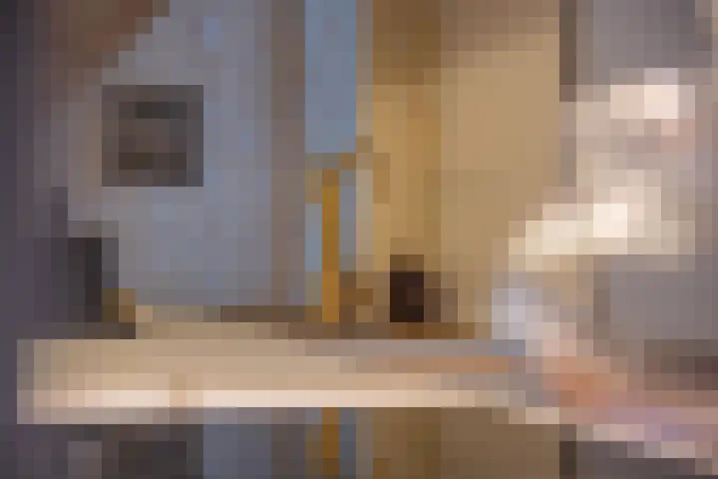 Rooijsestraat 59 Dreumel thumbnail 22