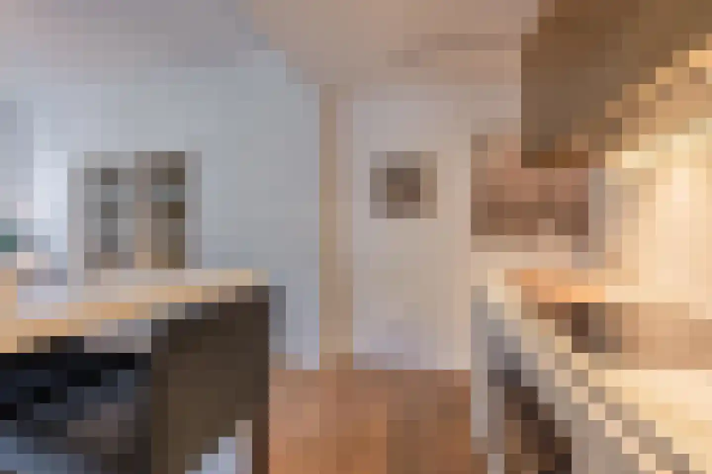 Rooijsestraat 59 Dreumel thumbnail 24