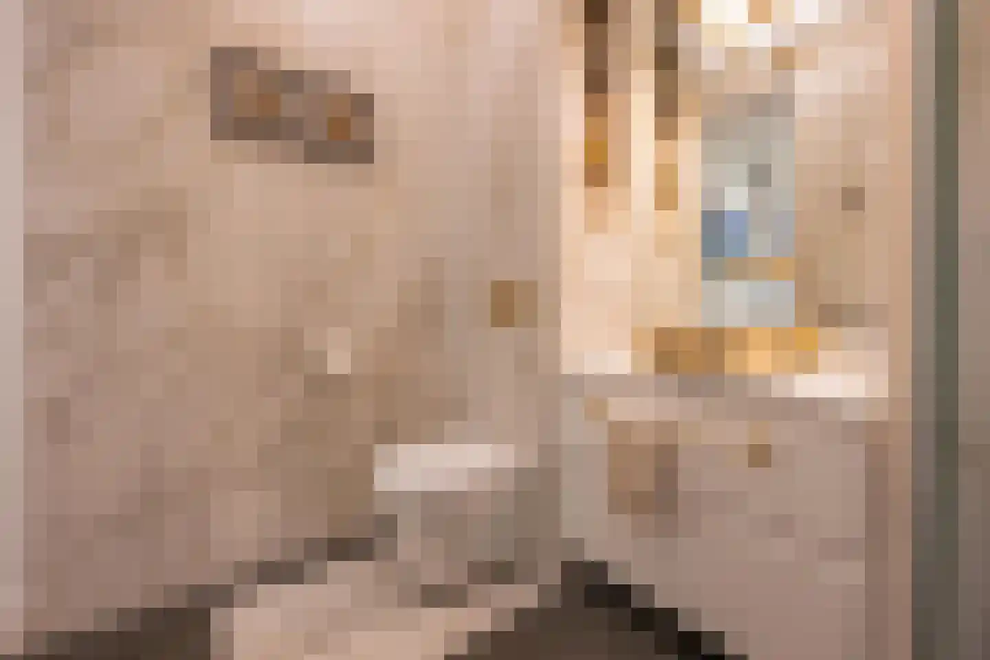 Rooijsestraat 59 Dreumel thumbnail 28