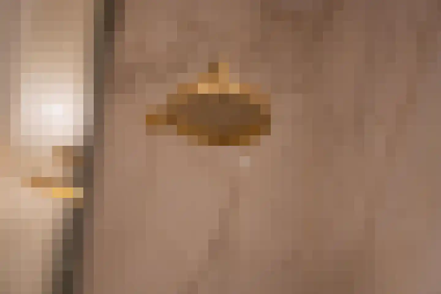 Rooijsestraat 59 Dreumel thumbnail 30