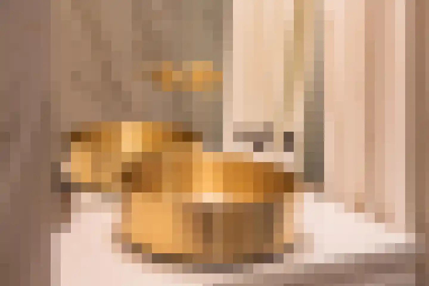 Rooijsestraat 59 Dreumel thumbnail 34