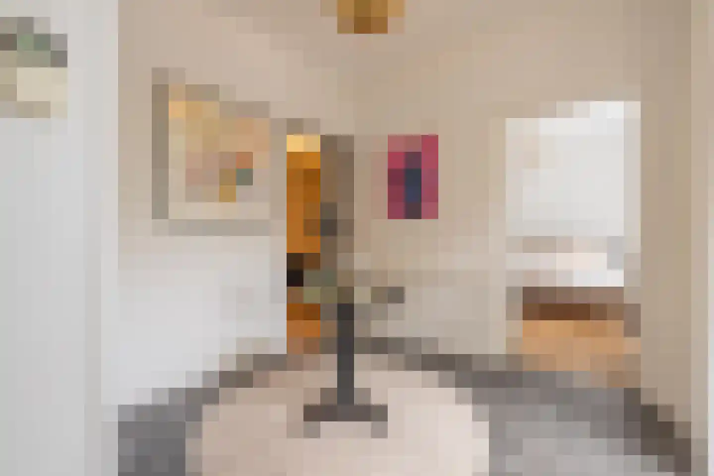 Rooijsestraat 59 Dreumel thumbnail 36