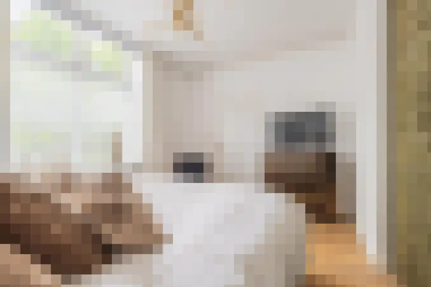 Rooijsestraat 59 Dreumel thumbnail 38