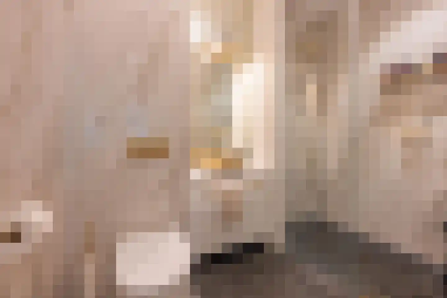Rooijsestraat 59 Dreumel thumbnail 4