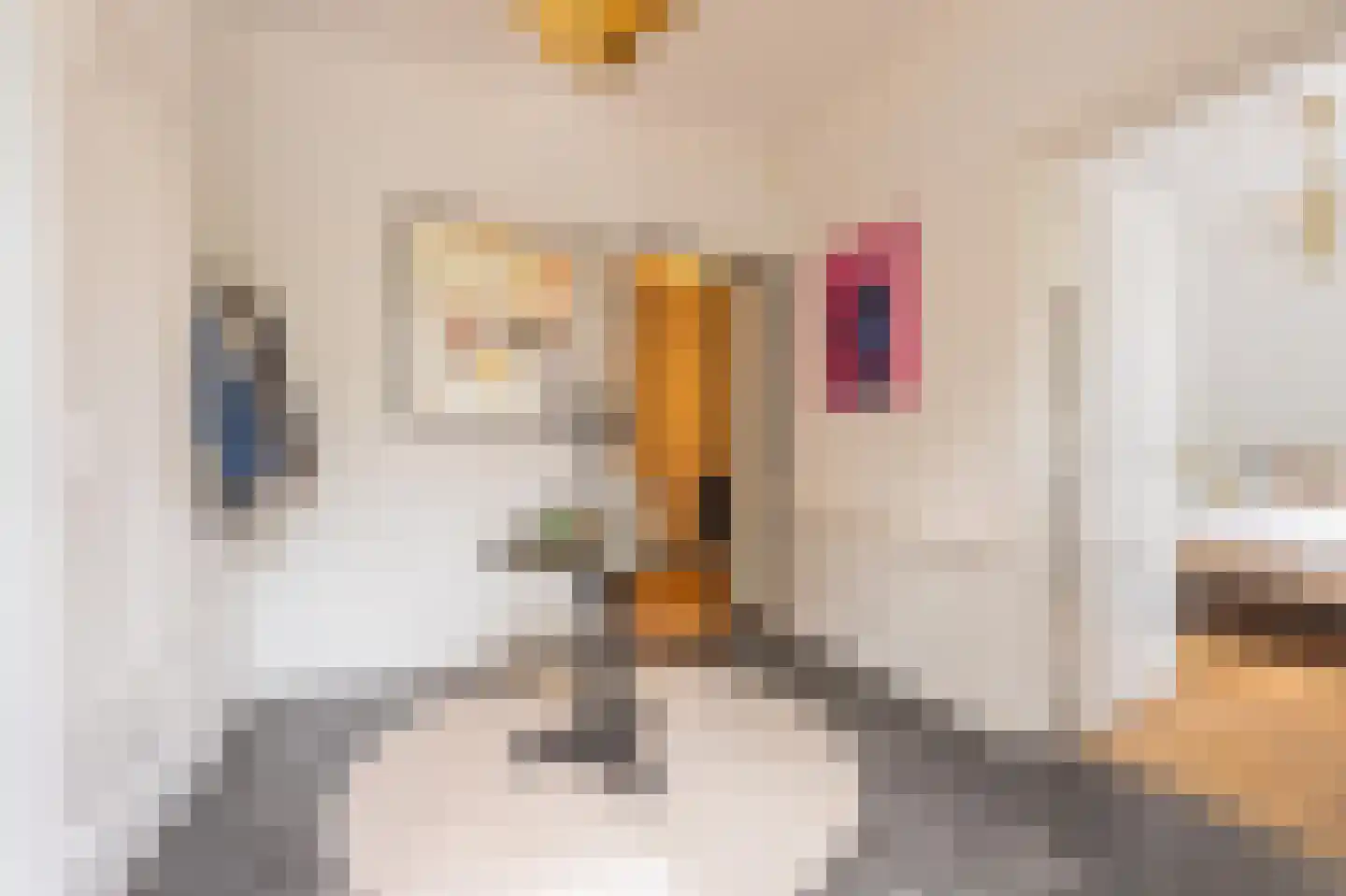 Rooijsestraat 59 Dreumel thumbnail 42