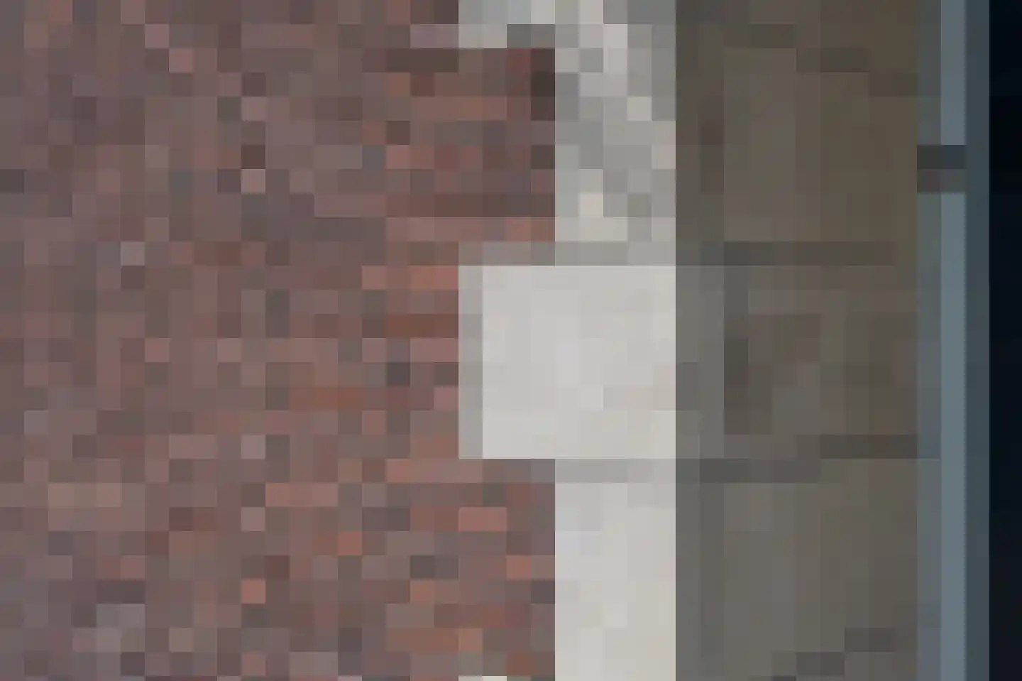 Rooijsestraat 59 Dreumel thumbnail 50