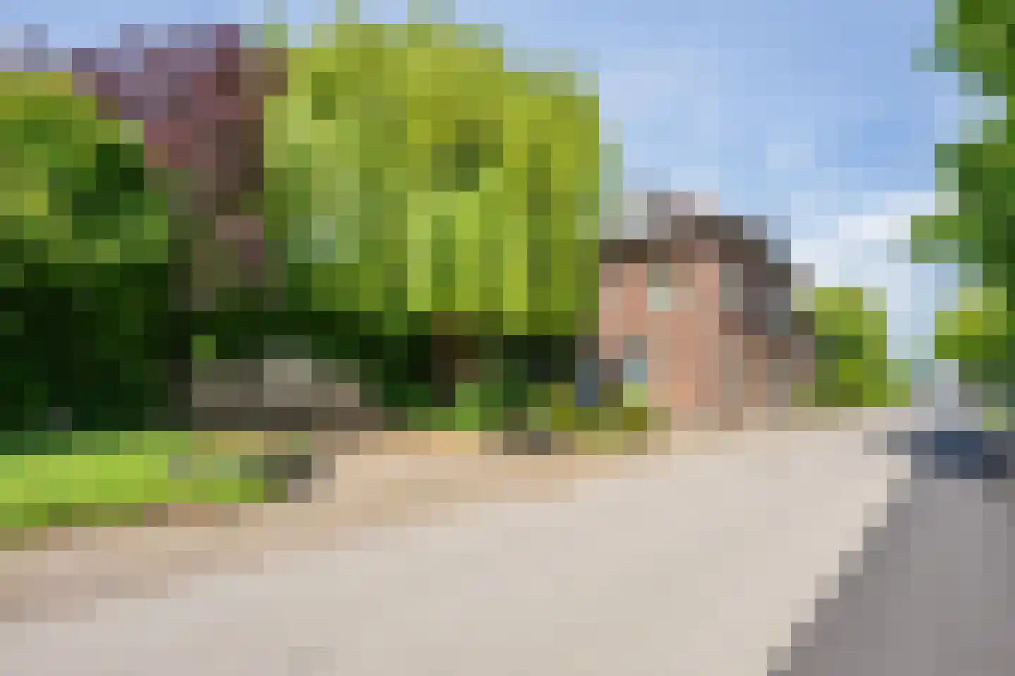 Rooijsestraat 59 Dreumel thumbnail 51