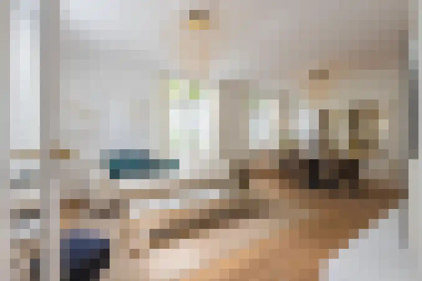 Rooijsestraat 59 Dreumel thumbnail 8