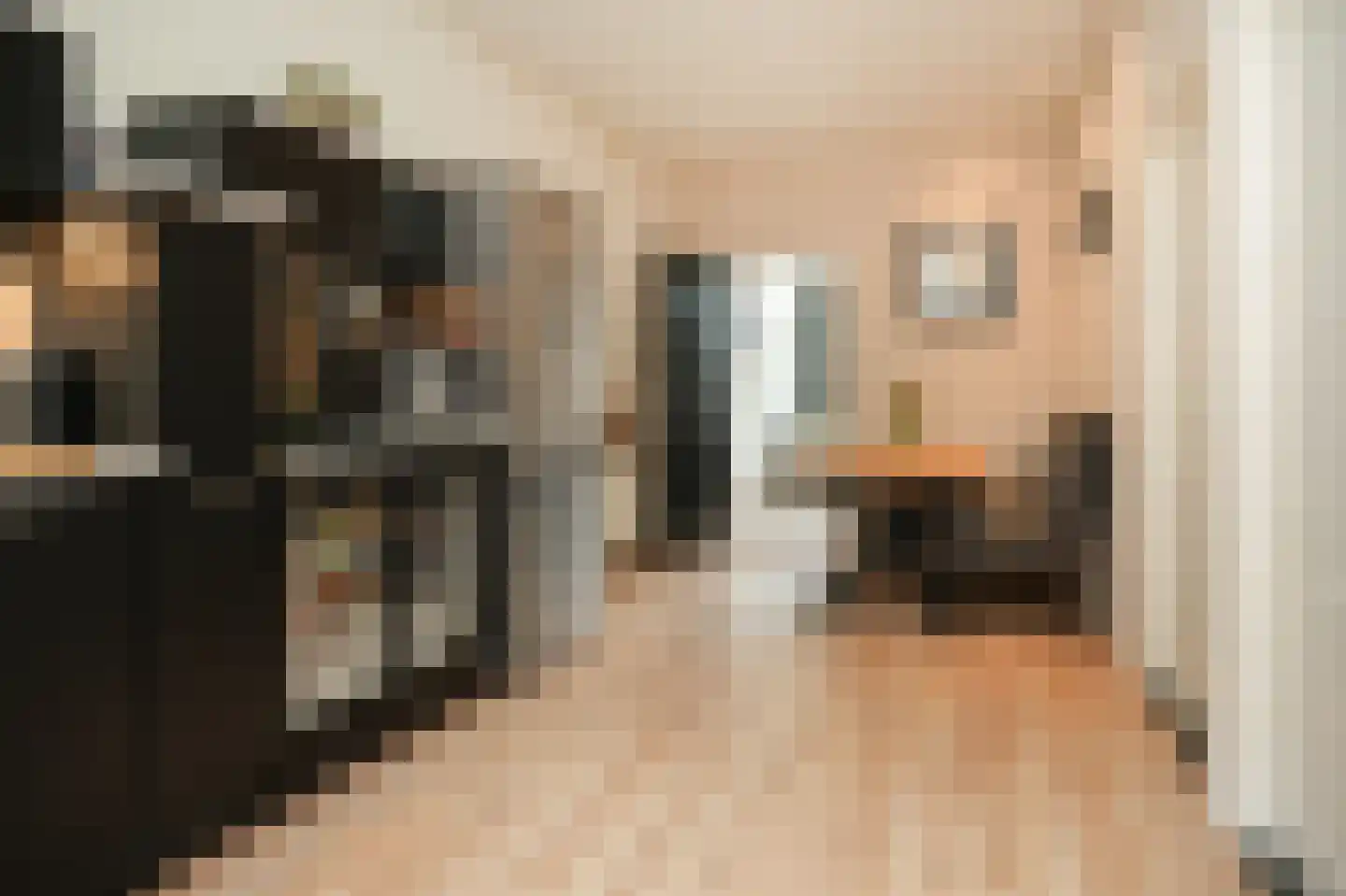 Rooijsestraat 64 Dreumel thumbnail 13
