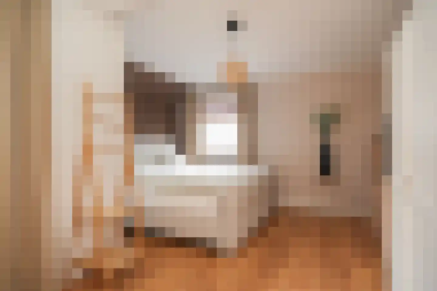 Rooijsestraat 64 Dreumel thumbnail 18