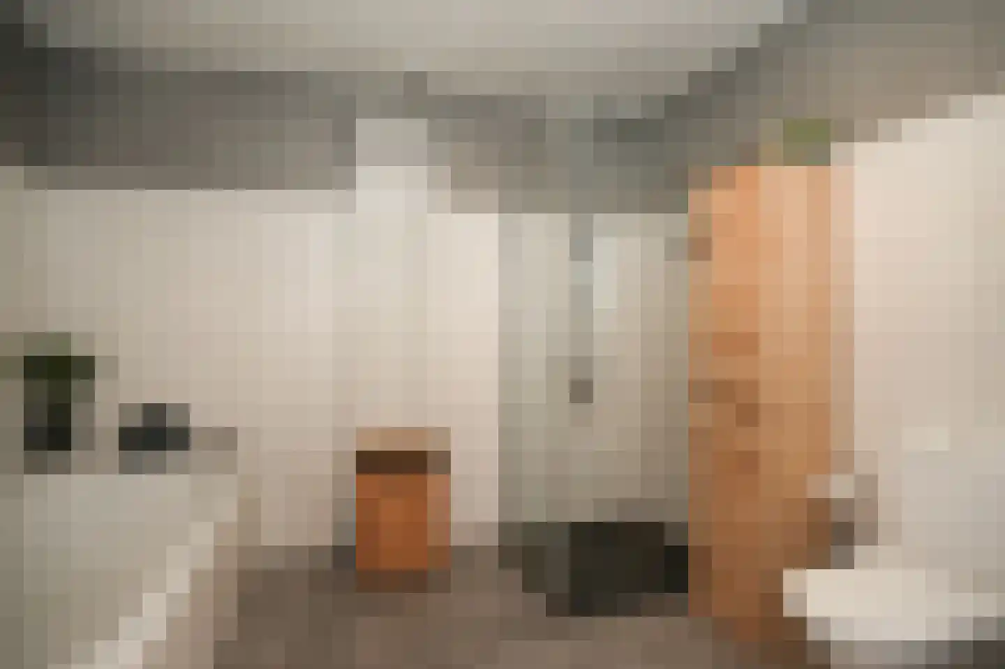 Rooijsestraat 64 Dreumel thumbnail 21