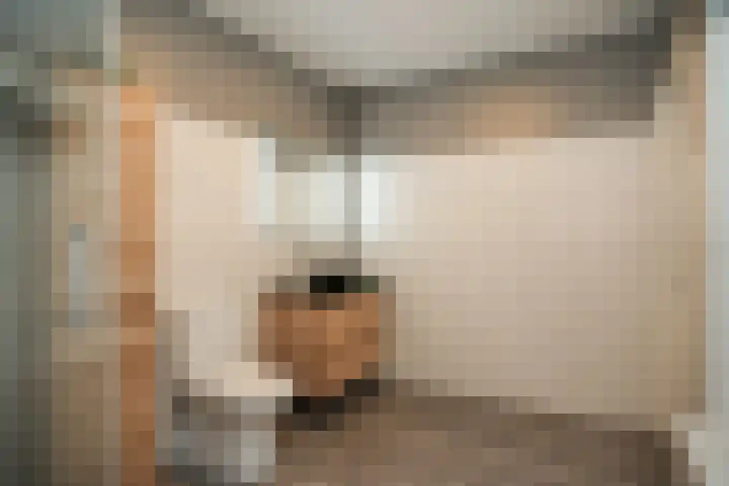Rooijsestraat 64 Dreumel thumbnail 22