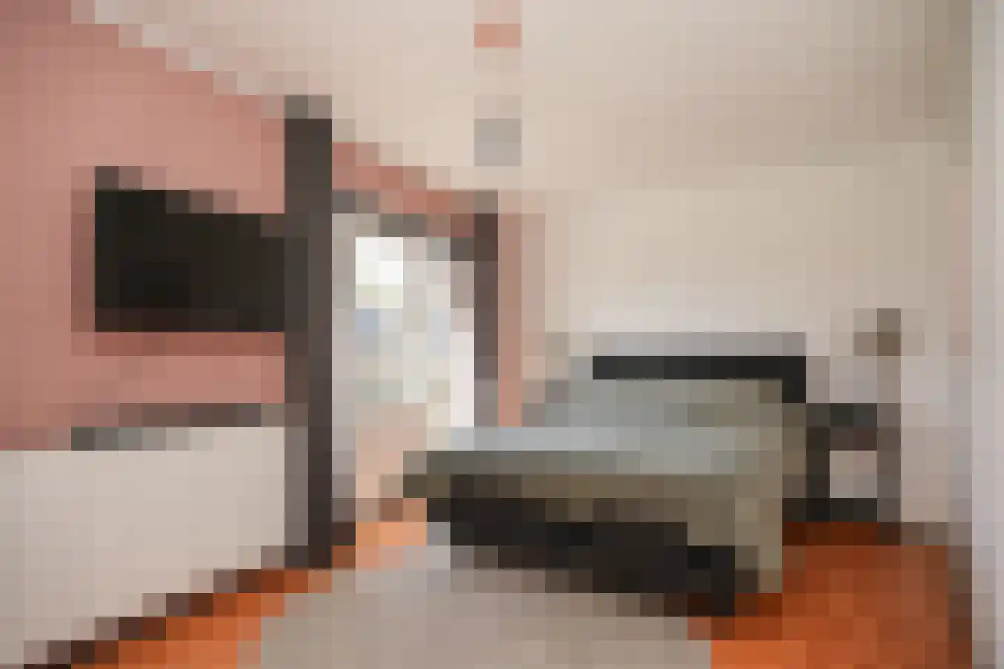 Rooijsestraat 64 Dreumel thumbnail 24