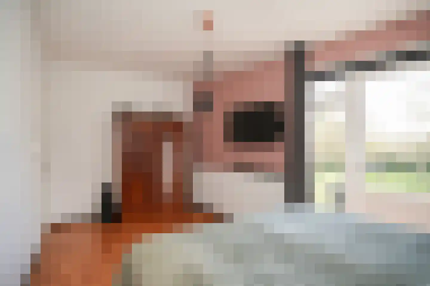 Rooijsestraat 64 Dreumel thumbnail 25
