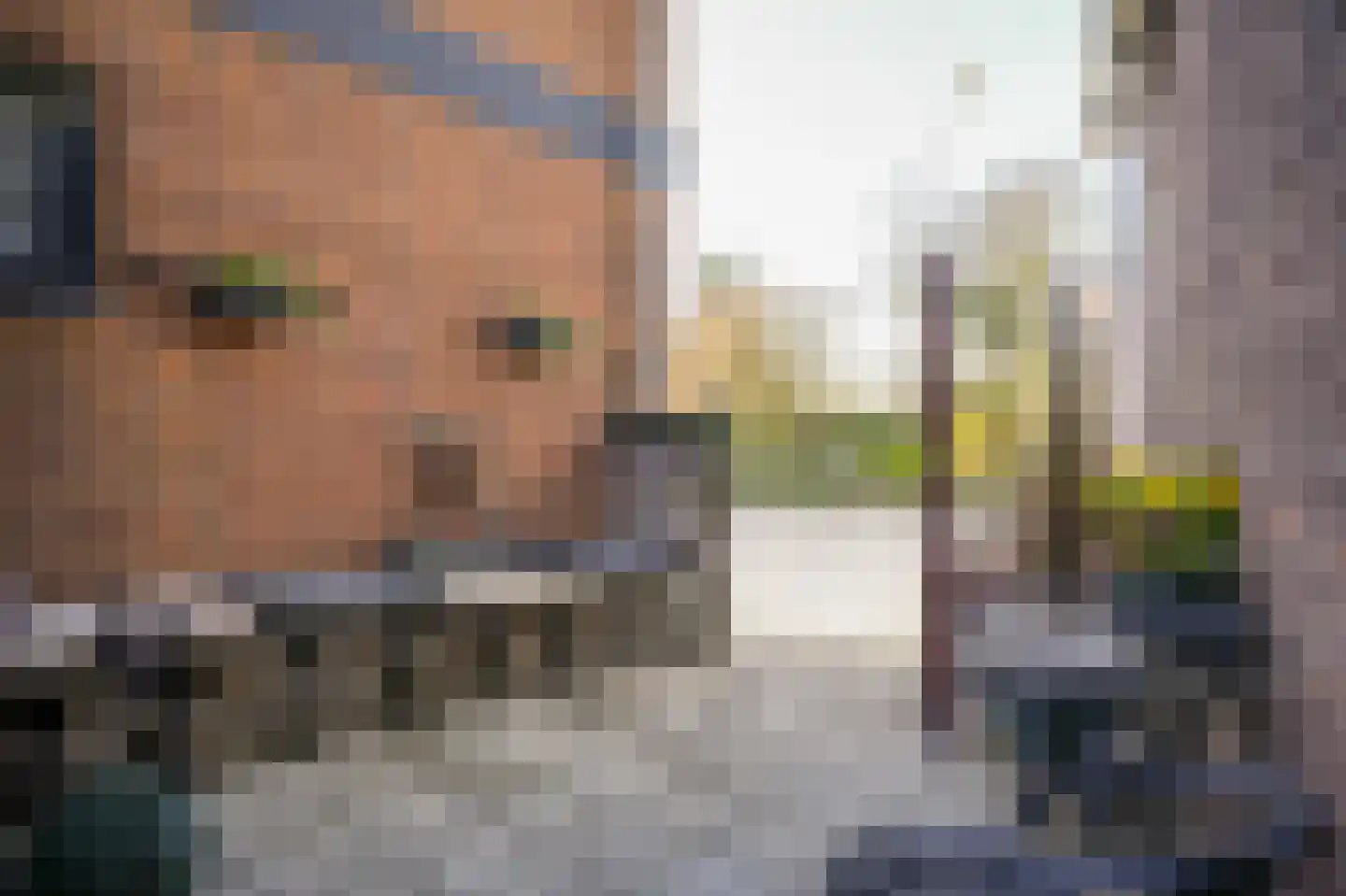 Rooijsestraat 64 Dreumel thumbnail 32