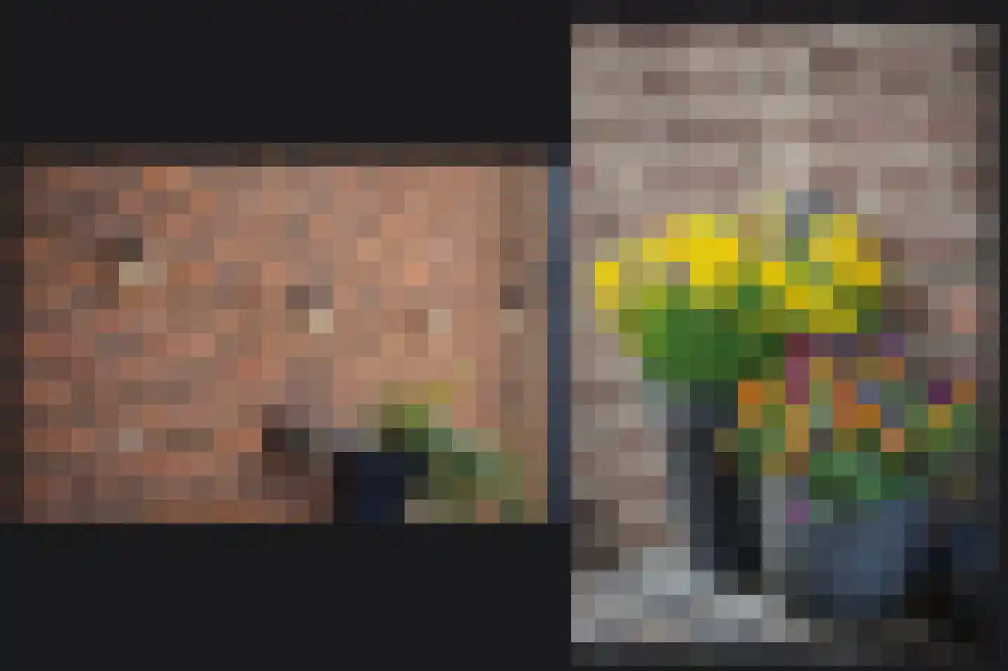 Rooijsestraat 64 Dreumel thumbnail 33