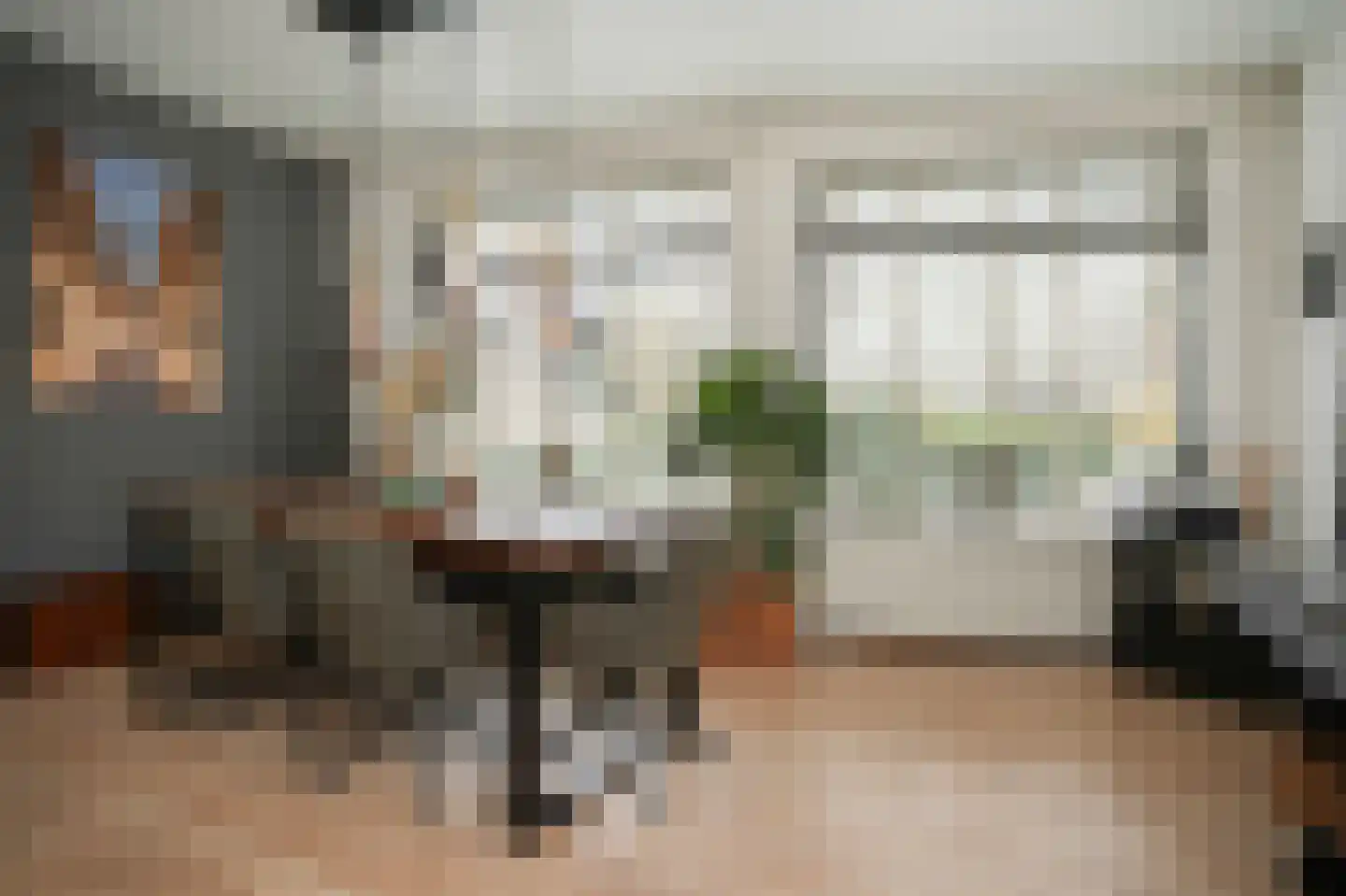 Rooijsestraat 64 Dreumel thumbnail 4