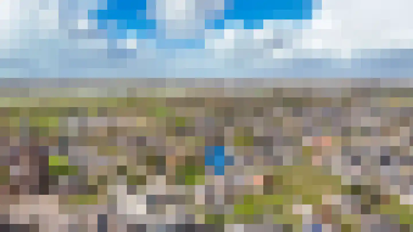 Rooijsestraat 64 Dreumel thumbnail 40