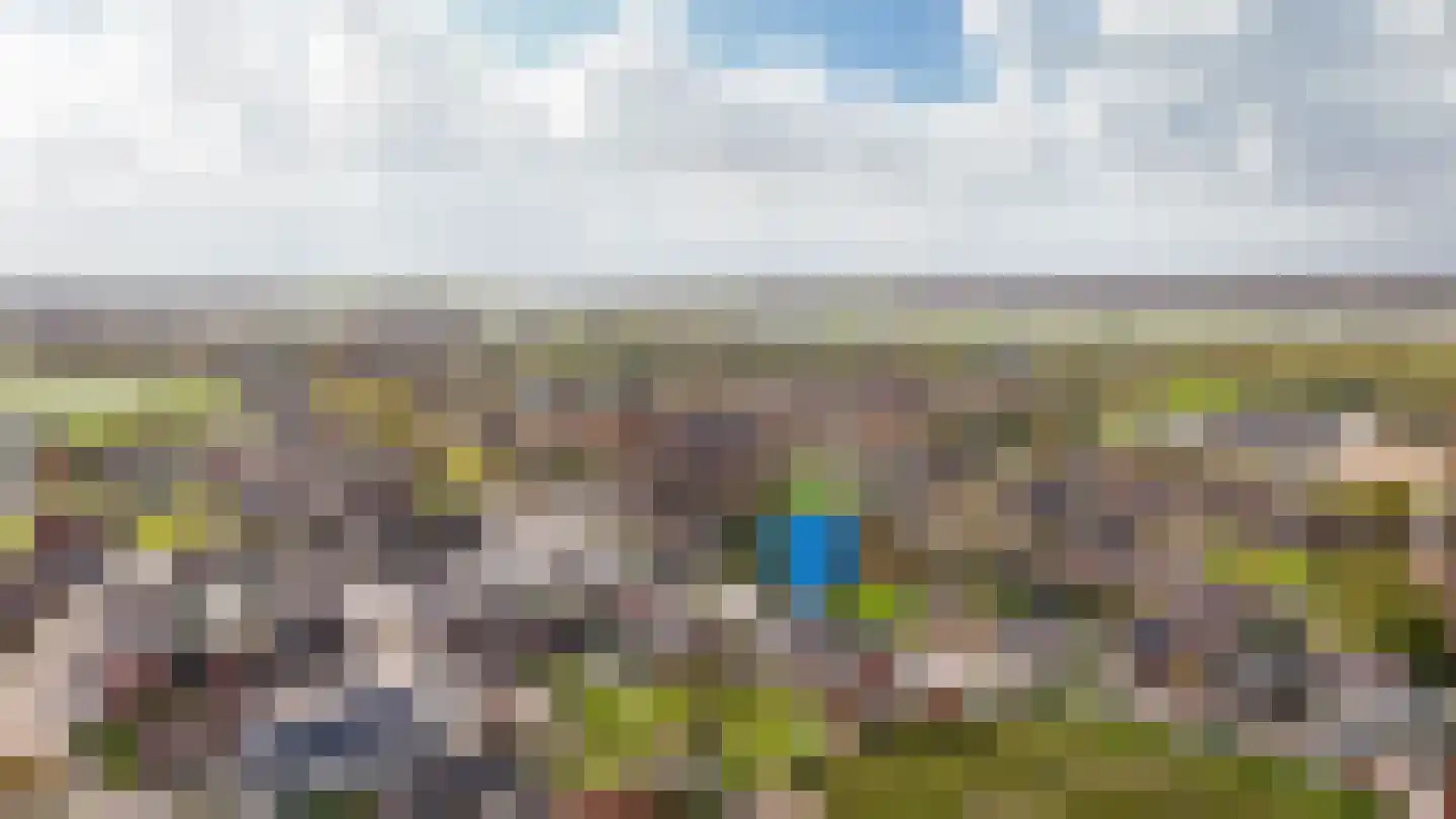 Rooijsestraat 64 Dreumel thumbnail 41