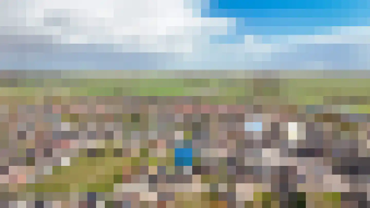 Rooijsestraat 64 Dreumel thumbnail 42