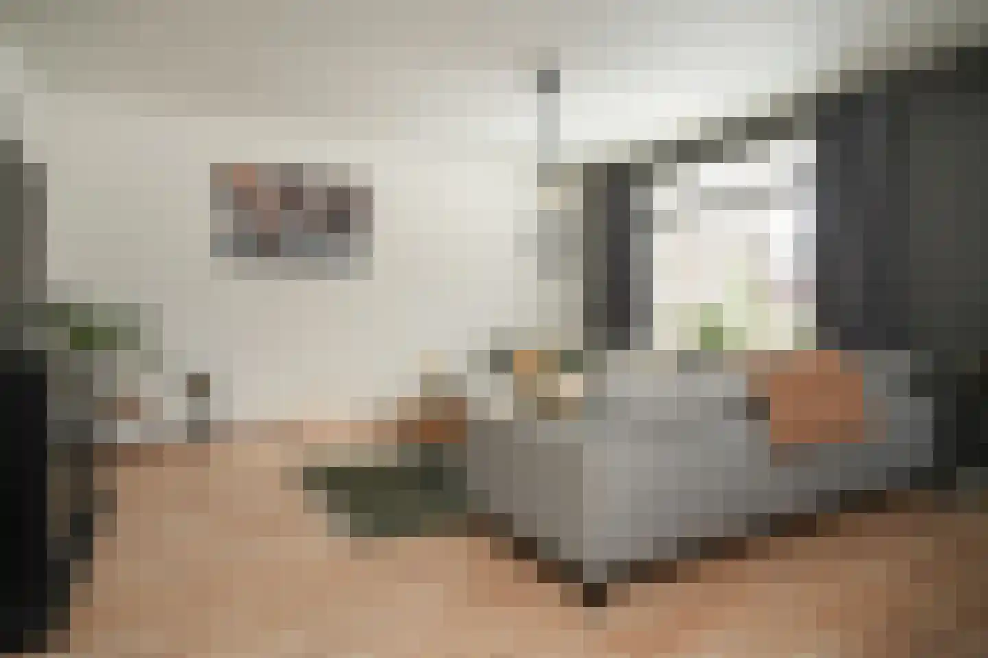 Rooijsestraat 64 Dreumel thumbnail 5