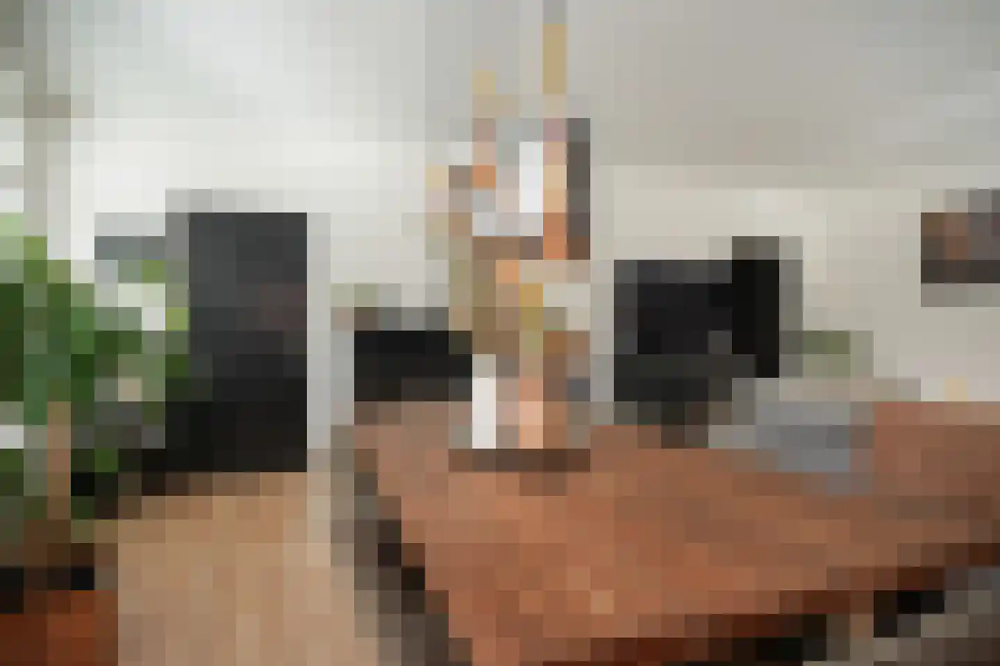 Rooijsestraat 64 Dreumel thumbnail 9