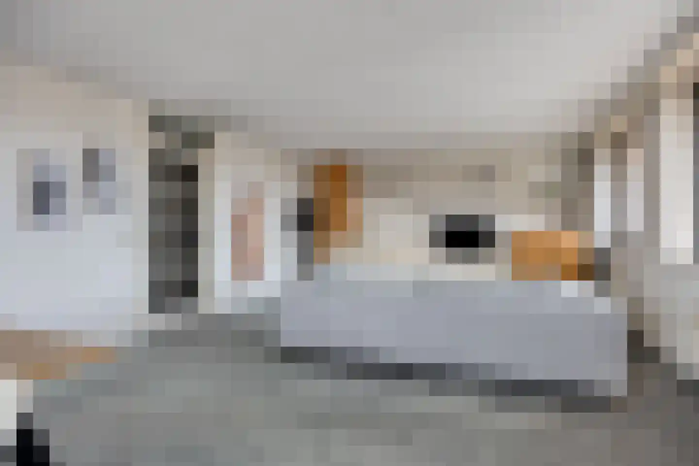 Rooijsestraat 75 Uden thumbnail 20