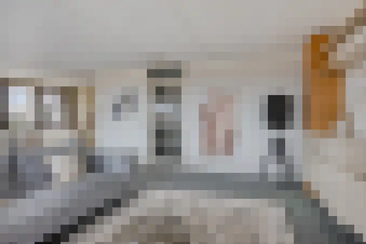 Rooijsestraat 75 Uden thumbnail 22
