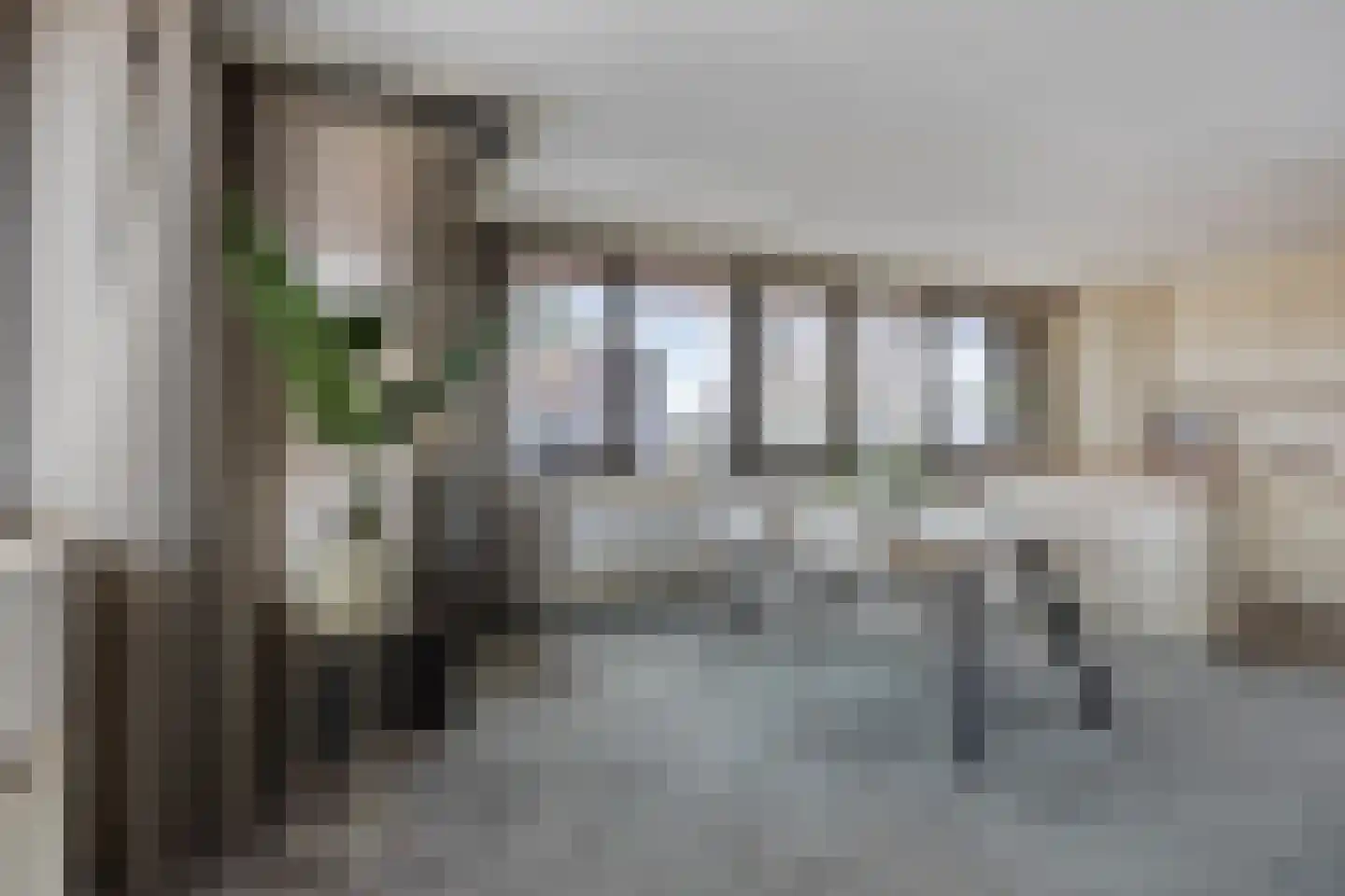 Rooijsestraat 75 Uden thumbnail 23