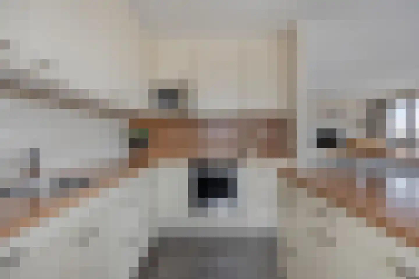 Rooijsestraat 75 Uden thumbnail 27