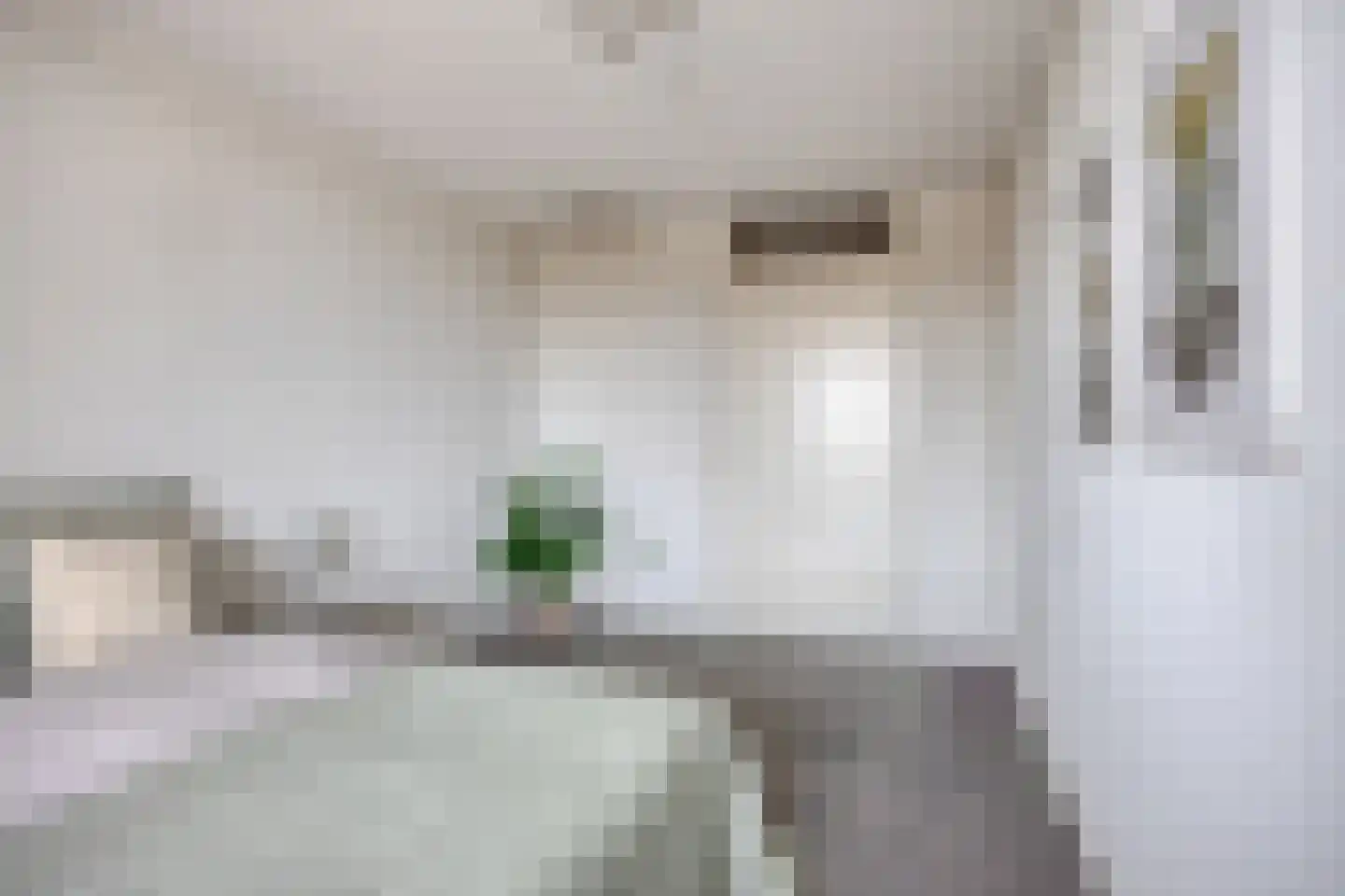 Rooijsestraat 75 Uden thumbnail 38