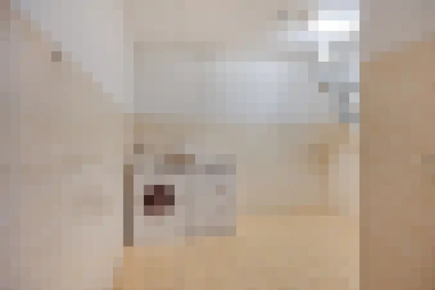 Rooijsestraat 75 Uden thumbnail 41