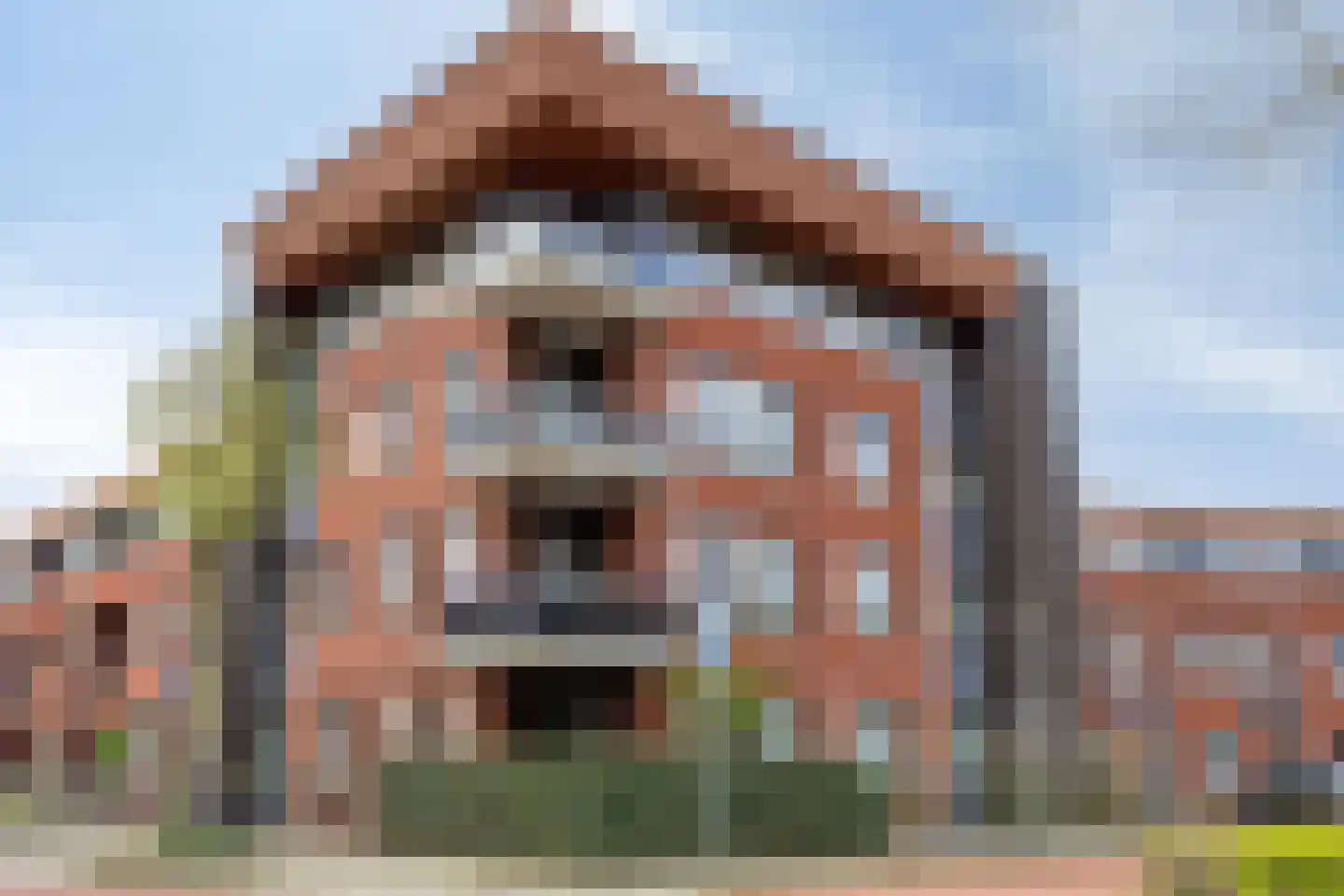 Rooijsestraat 75 Uden thumbnail 45