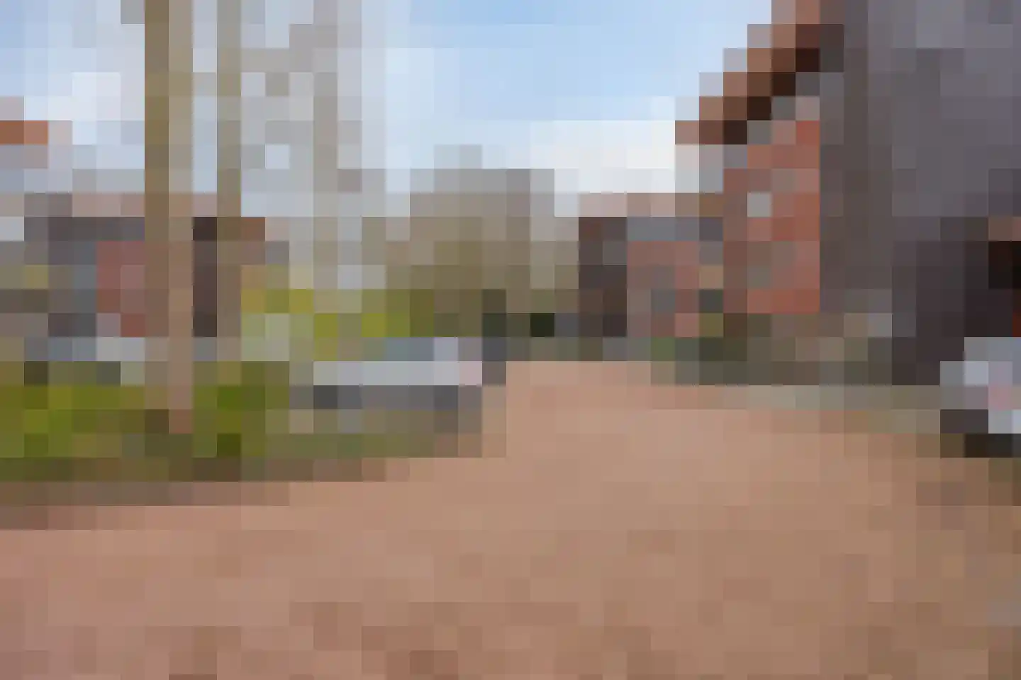 Rooijsestraat 75 Uden thumbnail 6