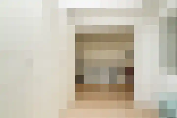 Rooijsestraat 99 Dreumel thumbnail 21