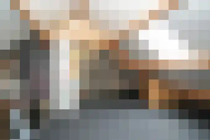 Rooijsestraat 99 Dreumel thumbnail 36
