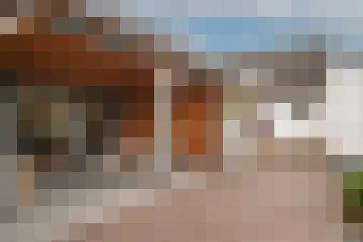 Rooijsestraat 99 Dreumel thumbnail 38