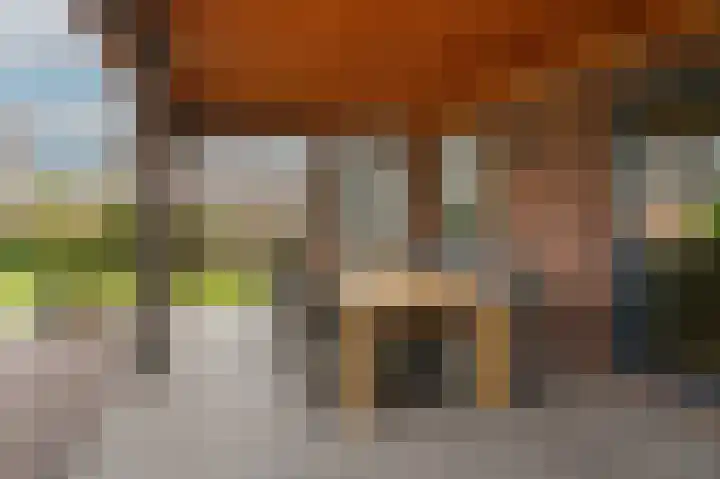 Rooijsestraat 99 Dreumel thumbnail 39
