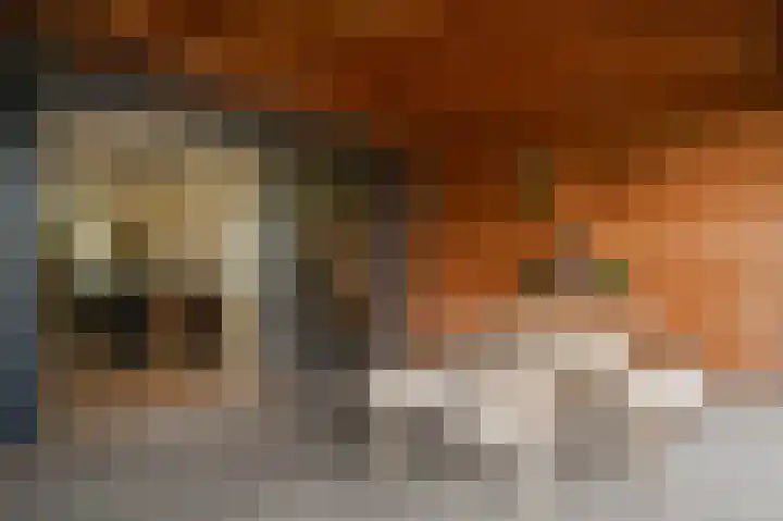 Rooijsestraat 99 Dreumel thumbnail 40