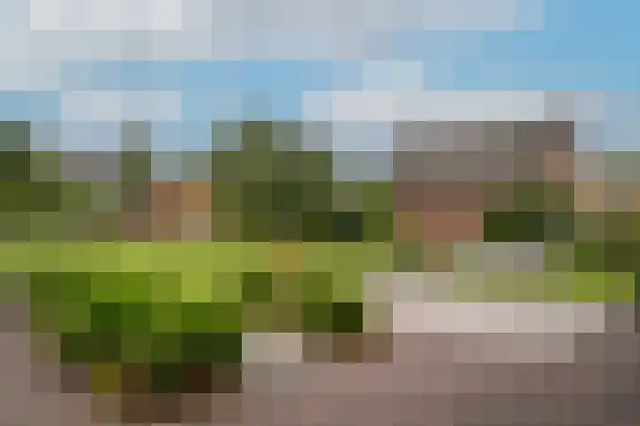 Rooijsestraat 99 Dreumel thumbnail 42
