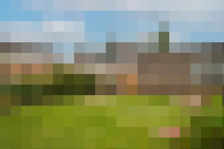 Rooijsestraat 99 Dreumel thumbnail 43