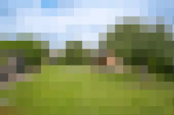 Rooijsestraat 99 Dreumel thumbnail 46