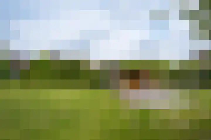 Rooijsestraat 99 Dreumel thumbnail 47