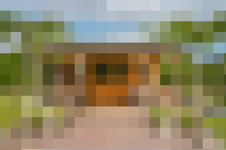 Rooijsestraat 99 Dreumel thumbnail 48